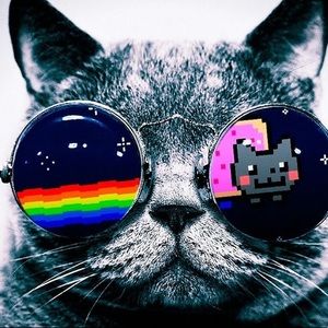 Meet your Posher, Angel